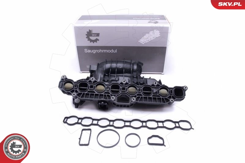 Intake Manifold Module